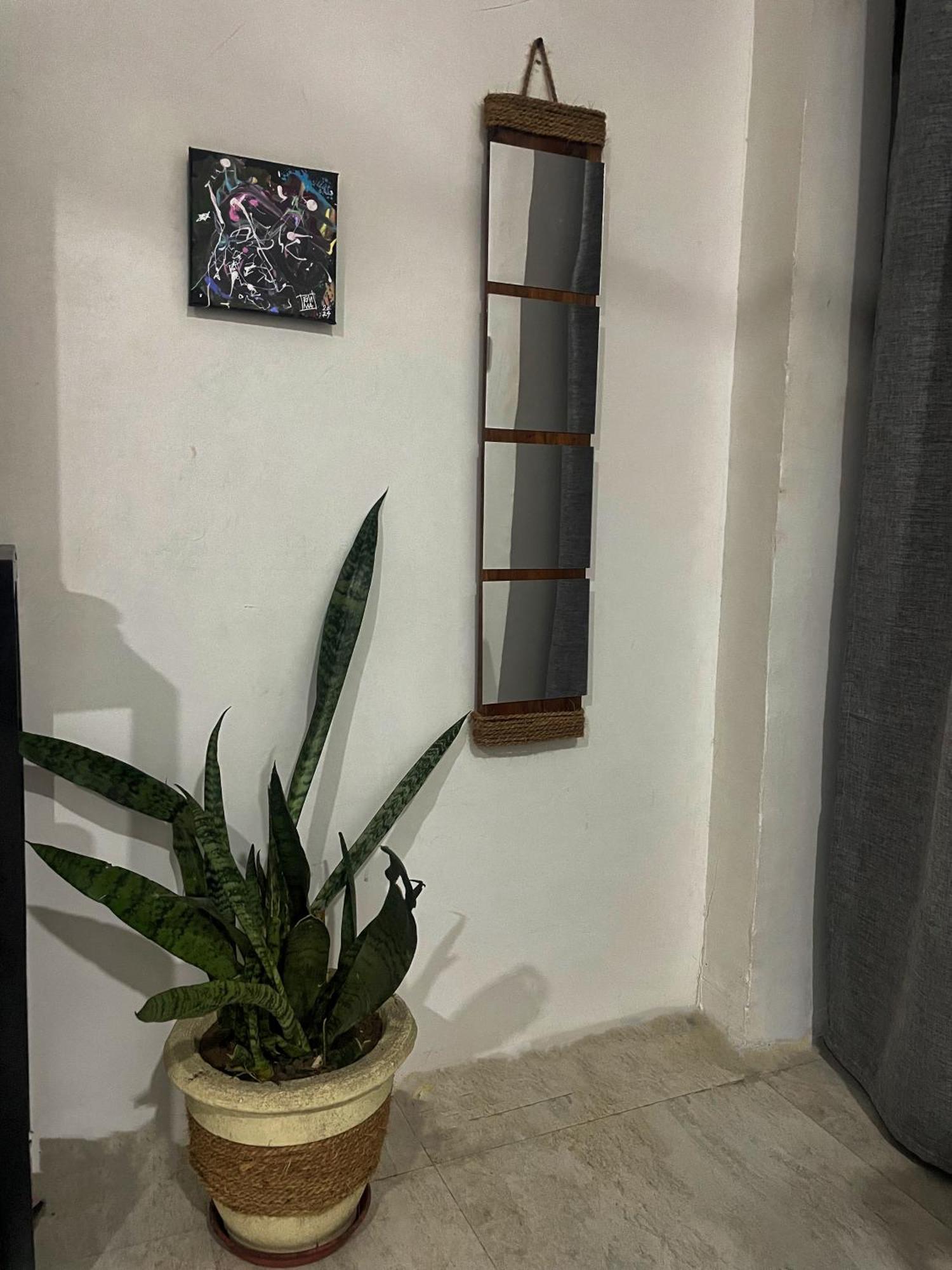 Avo Boutique Hotel Dikoni エクステリア 写真